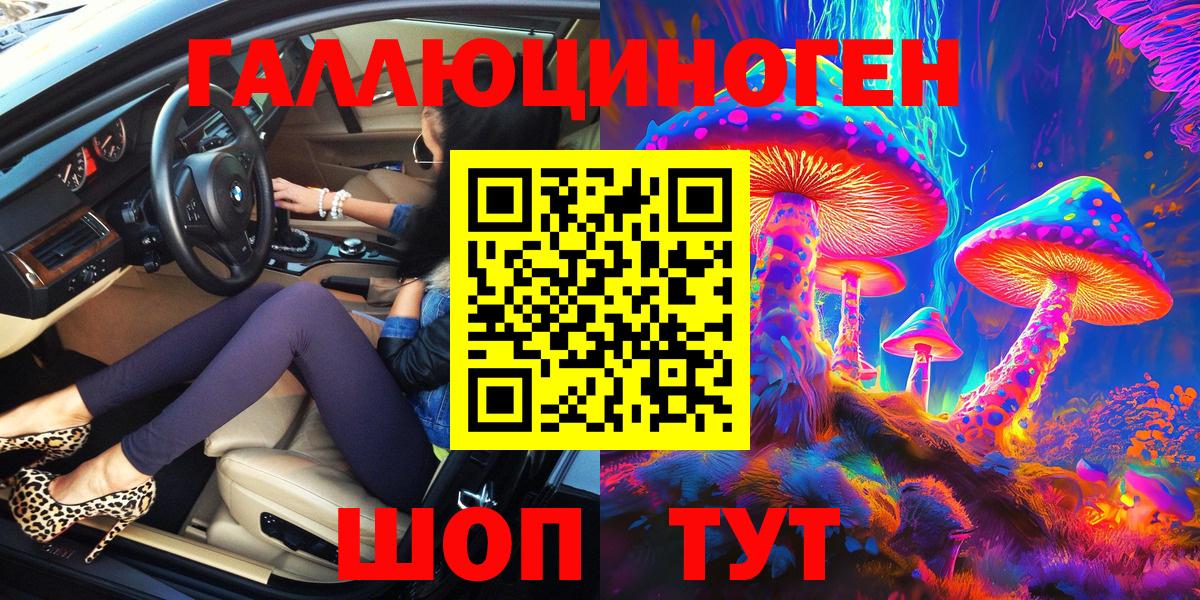 Галлюциногенные грибы Psilocybe Нерюнгри